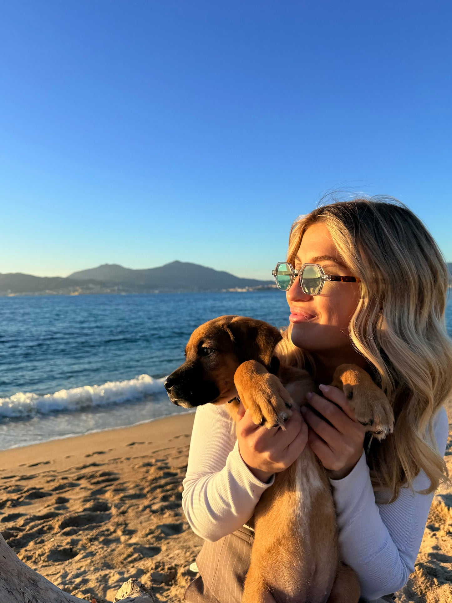 Basiliu Gris Ecaille / Vert