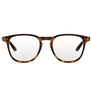 Marron / Transparent