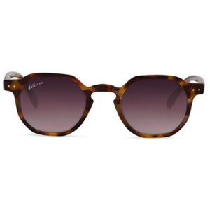 Marron / Noir